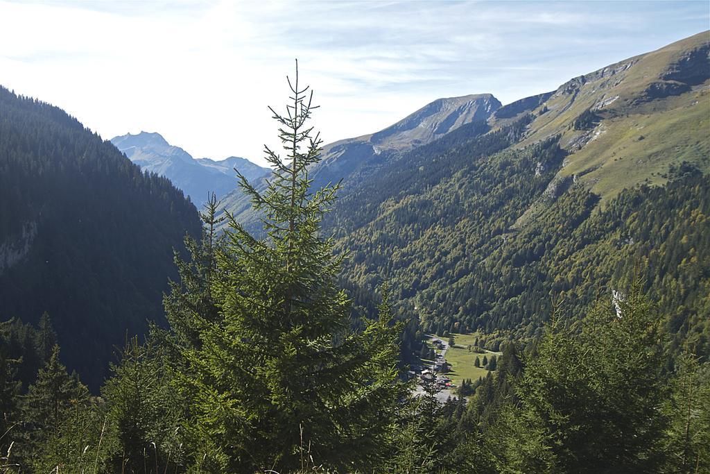 Chalet Génépi Montriond Exterior foto